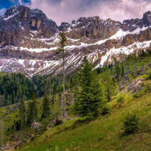 Dolomite Majesty – Peaks and Pines-min