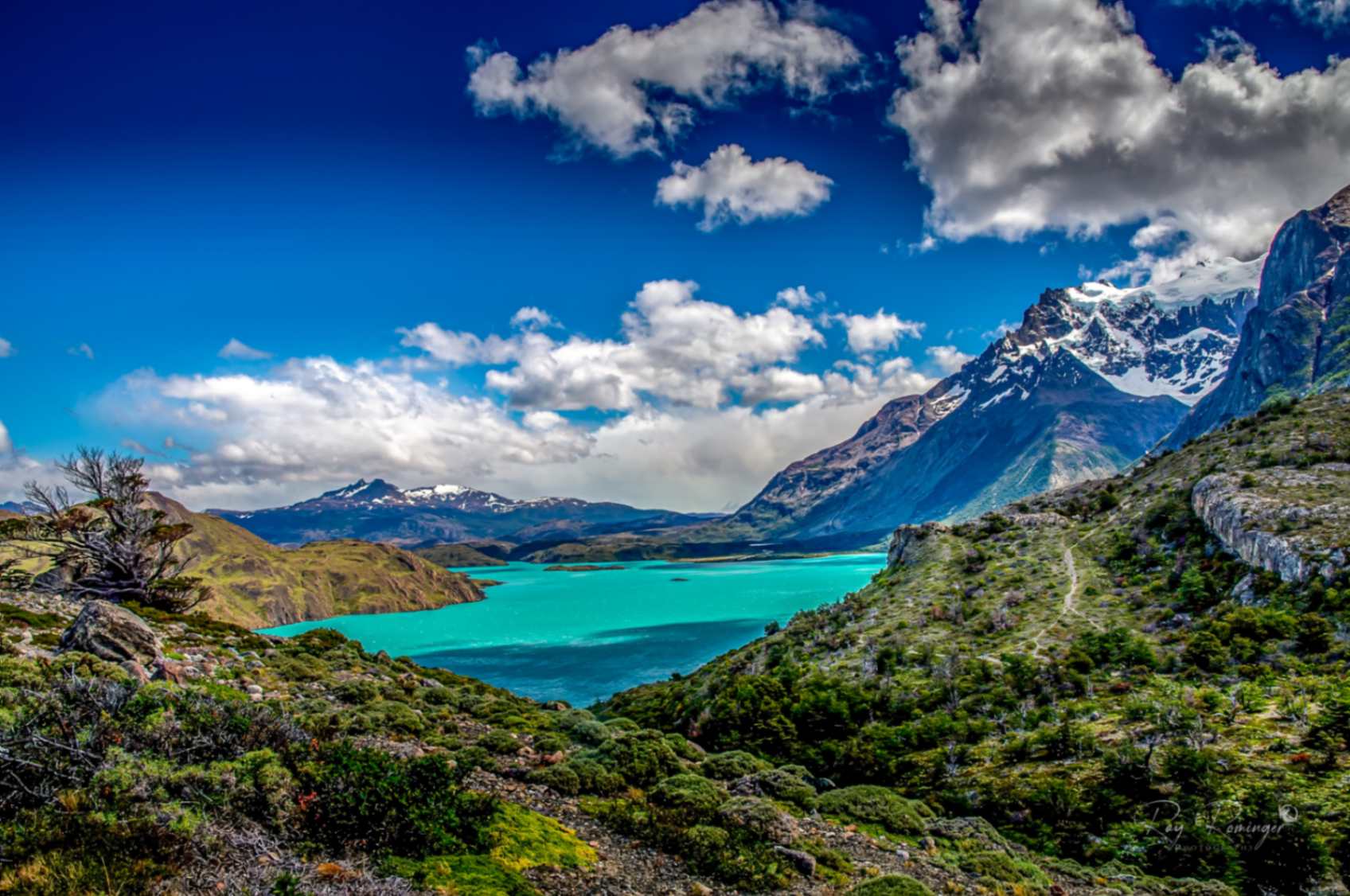 Lago NordenskjöldTorres del Paine National Park