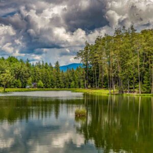 Reflective Calm – Forest Lake in the Alps