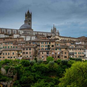 Siena Rising